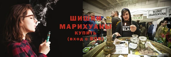 гидропоника Алзамай