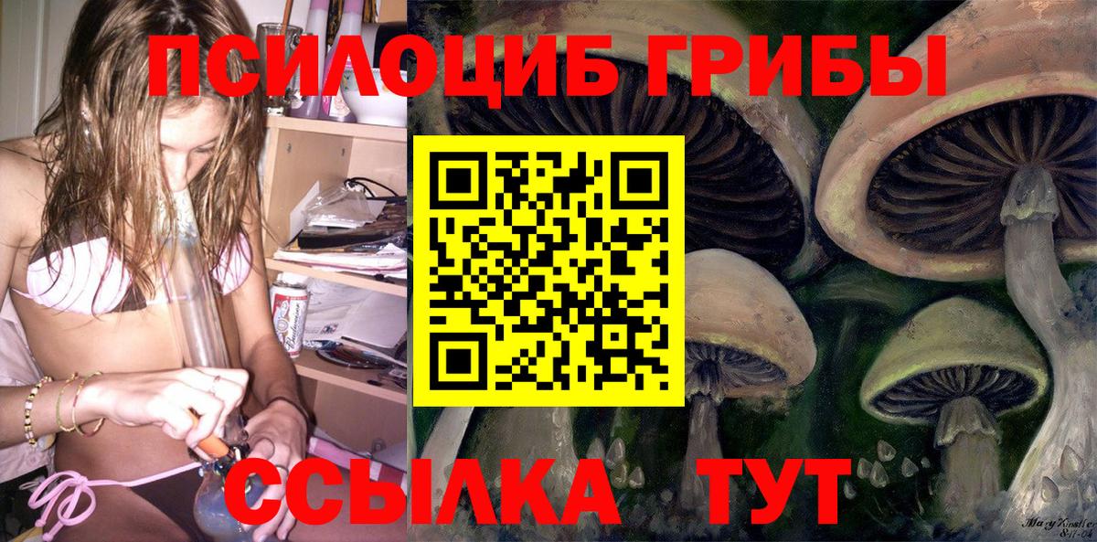 Псилоцибиновые грибы Cubensis Кемерово
